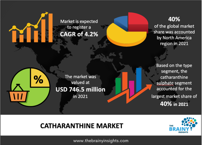 Catharanthine Market Size