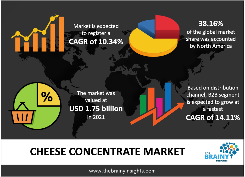 Cheese Concentrate Market Size