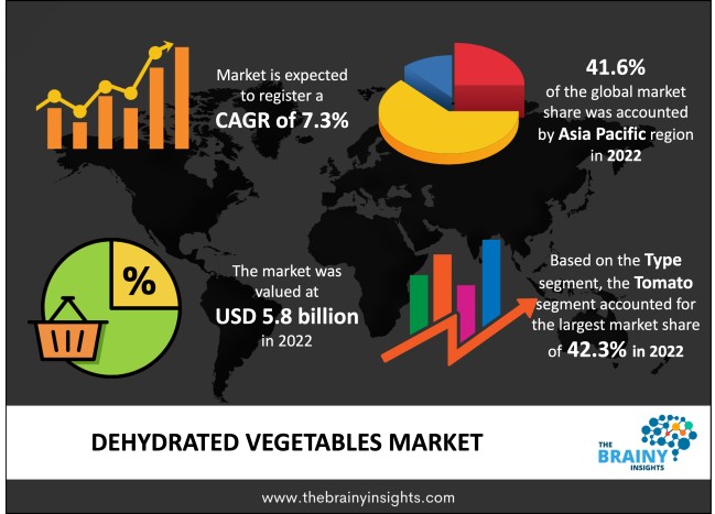 Dehydrated Vegetable Market Size