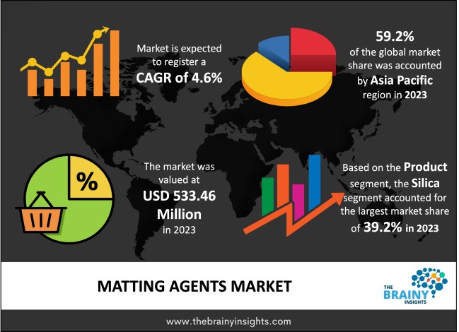 Matting Agents Market Size