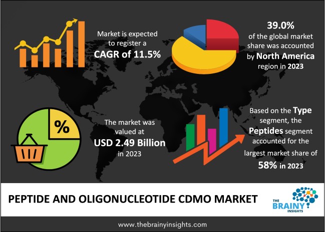 Peptide and Oligonucleotide CDMO Market Size