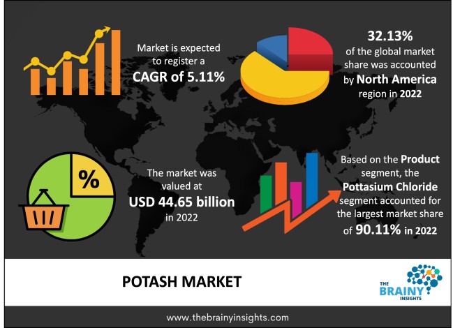 Potash Market Size