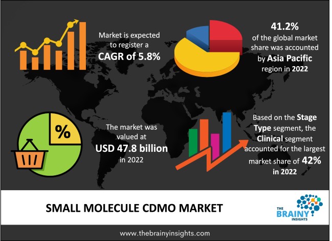 Small Molecule CDMO Market Size