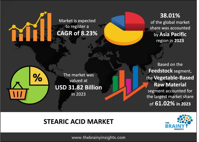 Stearic Acid Market Size