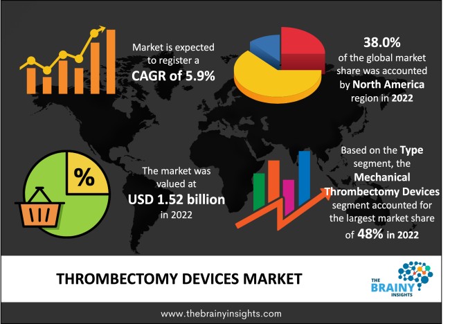 Thrombectomy Devices Market Size